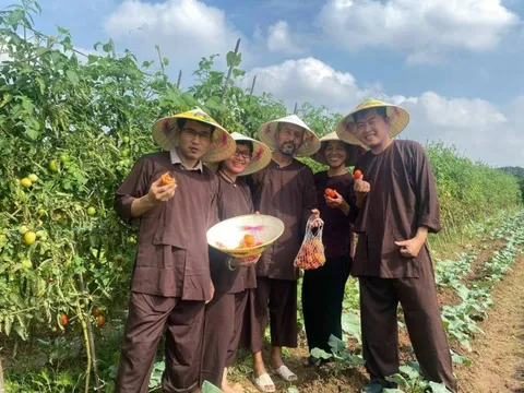 Mô hình du lịch nông nghiệp xanh VietHarvest AgriTour chính thức ra mắt, du khách được trải nghiệm làm người nông dân từ A - Z