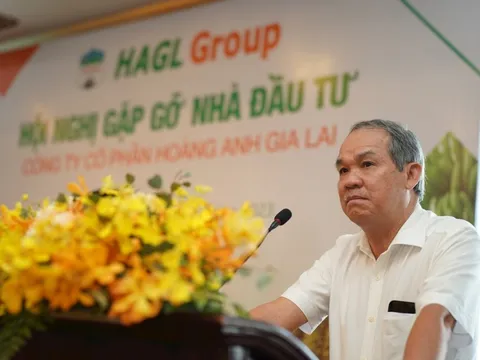 Cá nhân duy nhất chi 200 tỷ mua cổ phiếu riêng lẻ trong đợt phát hành 1.300 tỷ của HAGL cũng là 'người của bầu Thụy"