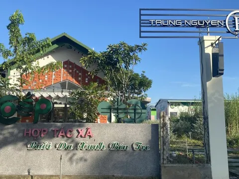 Từ case study HTX Nông nghiệp Bưởi Da Xanh Bến Tre đến hành trình phát triển của mô hình HTX ở Việt Nam: Có nhiều “bà đỡ” vẫn lắm gian nan