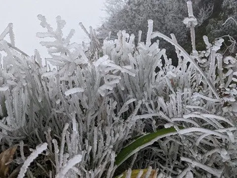 Không khí lạnh tăng cường khiến miền Bắc rét 2,5 độ C