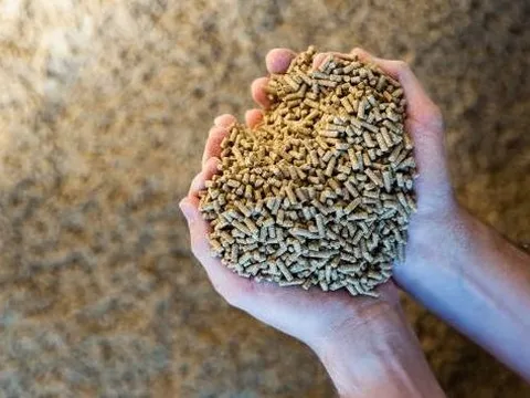 Trung Quốc, Campuchia đua nhau săn 'kho vàng' mới nổi của Việt Nam: Thu về hàng tỷ USD từ đầu năm, nước ta xếp thứ 8 thế giới về sản lượng