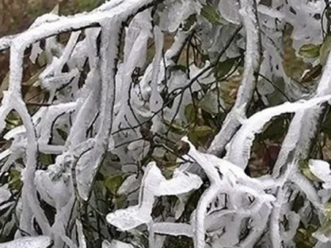 Không khí lạnh tăng cường, miền Bắc rét đậm, có nơi dưới 3 độ C