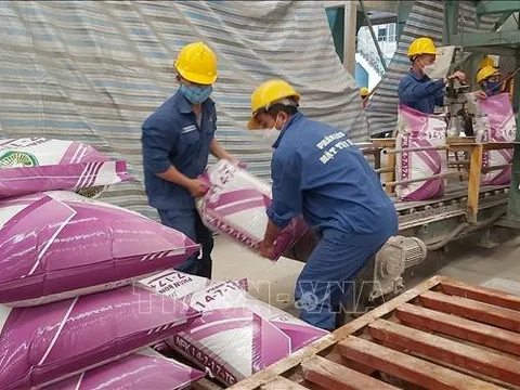 Giá phân bón trong nước có biến động theo thế giới?
