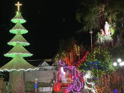 Chiêm ngưỡng cây thông Noel được trang trí hàng triệu vỏ sò, hàu, ốc