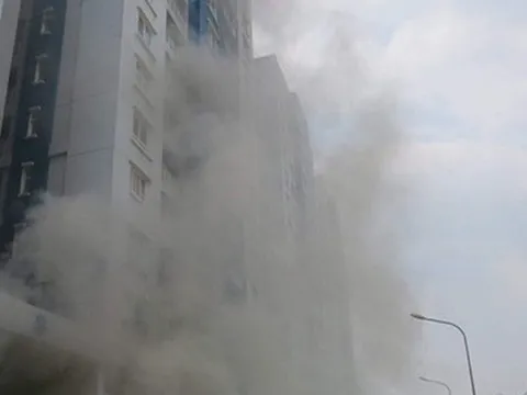 'Thảm họa Carina’ 13 người tử vong: Triệu tập gần 800 người tham gia phiên tòa