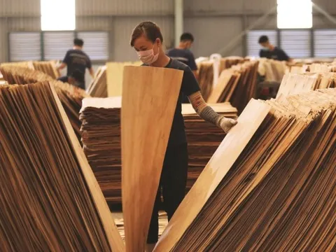 Loạt vấn đề ảnh hưởng đến tính bền vững của ngành gỗ