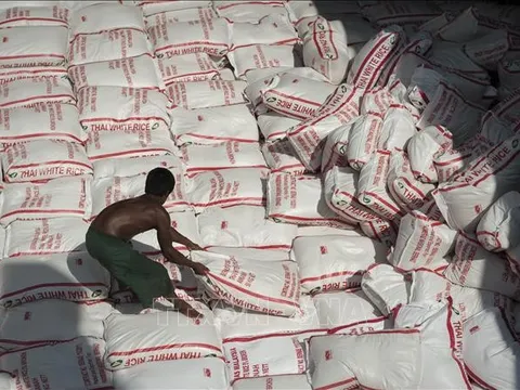 Thái Lan ước tính xuất khẩu gạo năm nay đạt 8,8 triệu tấn