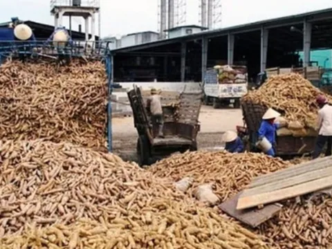 Thiết lập 3 luồng sàng lọc 'doanh nghiệp ma' trong hoàn thuế VAT