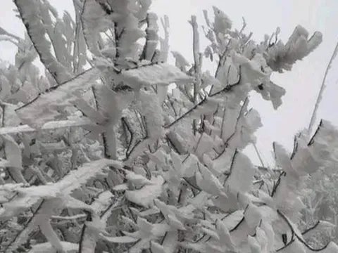 Yên Bái: Nhiệt độ giảm sâu, Mù Cang Chải xuất hiện băng giá