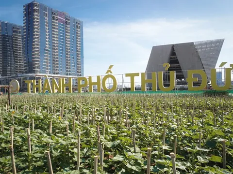 Công viên 90 tỷ đồng dài 600m, cách trung tâm TP. HCM chỉ một cây cầu sắp khánh thành