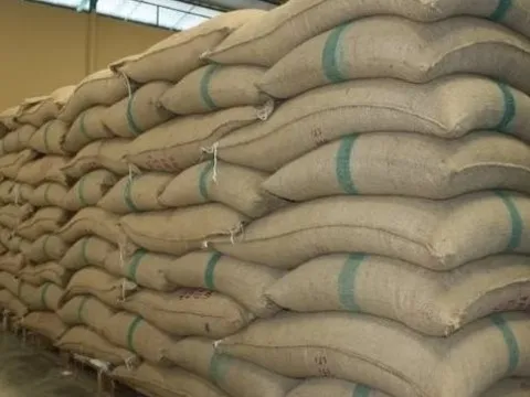 Giá xuất khẩu liên tục lập đỉnh, lộ diện quốc gia Nam Mỹ tăng nhập khẩu ‘hạt ngọc’ của Việt Nam gần 3.000% trong 11 tháng