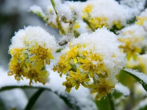 Đợt rét đỉnh điểm ở miền Bắc kéo dài đến khi nào?