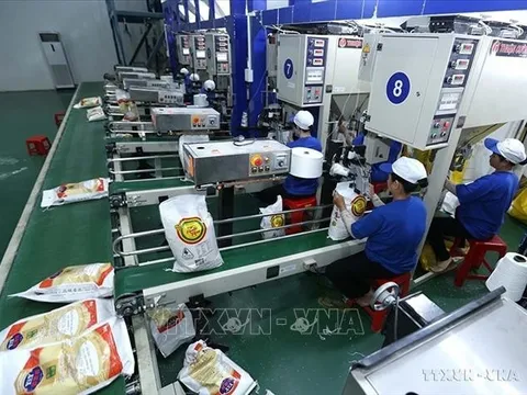 Giá gạo Việt Nam tăng lên mức cao nhất trong hơn 15 năm