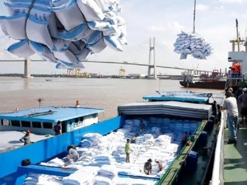 Gạo Việt tiếp tục khẳng định chỗ đứng trên thế giới