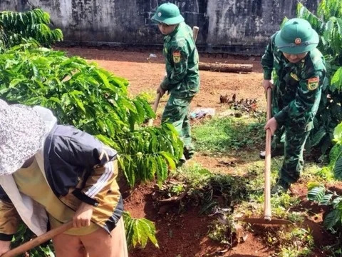 Gia Lai: Bộ đội Biên phòng chung tay giúp dân thoát nghèo