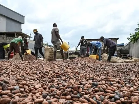 El Nino 'thích đồ ngọt' và đây là lý do túi tiền của bạn sẽ 'thủng' nhanh hơn vào năm 2024