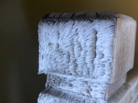 Băng giá xuất hiện trên đỉnh Fansipan