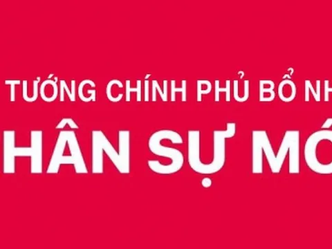 Thủ tướng Chính phủ bổ nhiệm lãnh đạo 3 cơ quan