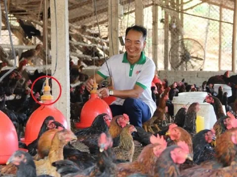 Anh nông dân "tay không làm giàu" nhẹ nhàng thu lãi 2,4 tỷ đồng