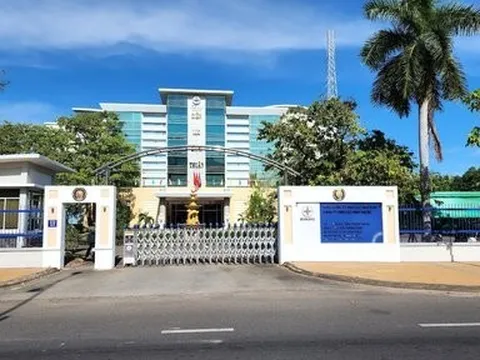 Phó Giám đốc điện lực Bình Thuận được ủy quyền điều hành Công ty