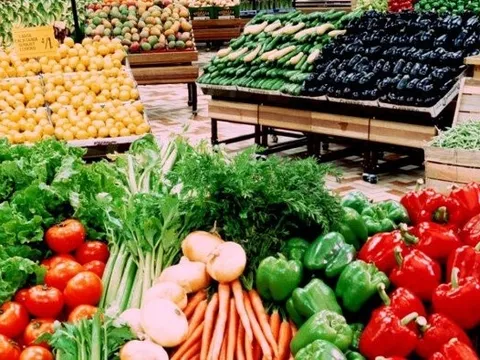 Khuyến cáo doanh nghiệp thực phẩm khi xuất khẩu sang Singapore