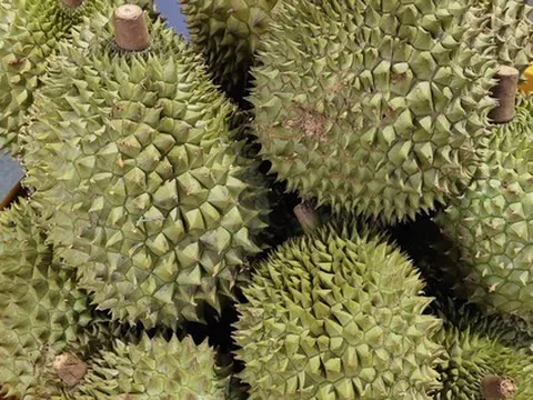 Sầu riêng đông lạnh xuất khẩu sang Thái Lan nhiều nhất