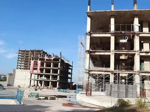 Tạm hoãn xuất cảnh Giám đốc Công ty Sông Đà - Thăng Long