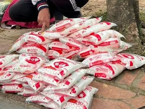 Hà Nội phát hiện và triệt phá cơ sở sản xuất mì chính giả ở huyện ngoại thành