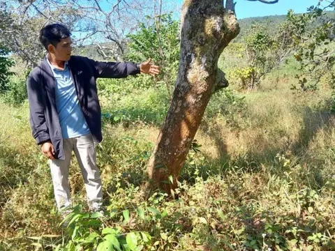 Bình Phước: Người dân lao đao vì dự án thủy điện