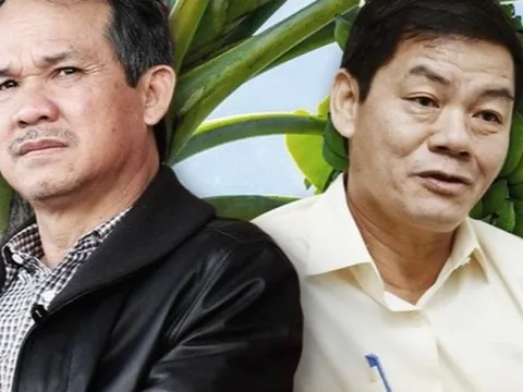 Từng được bầu Đức nhận định 'làm gì còn ruột mà rút, chỉ còn xương thôi', đâu là động lực để cổ phiếu HAGL Agrico tăng gần 40% trong hai tháng qua?