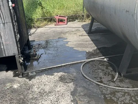 Phát hiện thêm vi phạm của Công ty Innovation