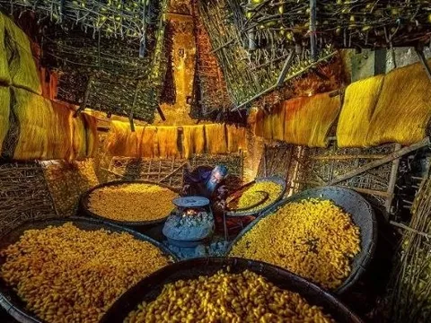 Một mặt hàng tỷ đô của Việt Nam được gần một nửa thế giới săn đón: Thu về hàng tỷ USD mỗi tháng, Nhật Bản, Hàn Quốc cực kỳ ưa chuộng