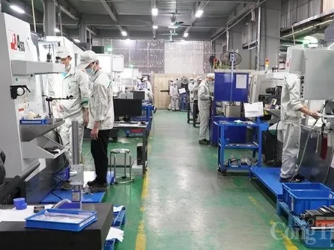 Doanh nghiệp Việt kỳ vọng vào sự phục hồi trong năm Rồng