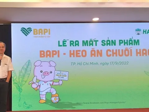 Từng có tham vọng là DN đầu tiên làm mô hình 'từ trang trại đến bàn ăn mà có đủ sản phẩm', HAGL chuẩn bị thoái vốn khỏi chuỗi bán thịt heo ăn chuối