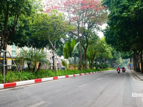 Phố phường Hà Nội thanh bình ngày đầu năm mới 2024