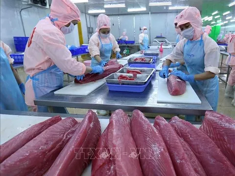 Xuất khẩu thuỷ sản vẫn còn nhiều thách thức