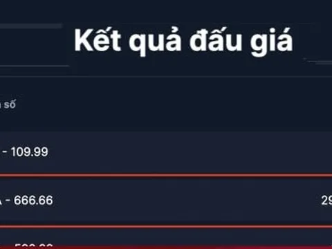 Biển số 88A-666.66 trúng đấu giá gần 30 tỷ đồng