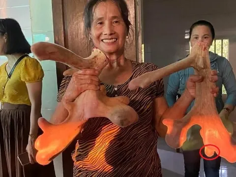 Lão nông mang 20 triệu mua con vật "vừa lạ vừa quen" về nuôi, nhẹ nhàng đút túi 400 triệu/năm