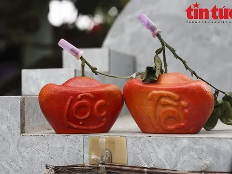 Bưởi đỏ 'tiến vua' đúc chữ tài - lộc không còn hàng để bán