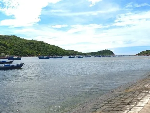 Ninh Thuận: Kỷ luật nhiều cán bộ liên quan sai phạm ở vịnh Vĩnh Hy