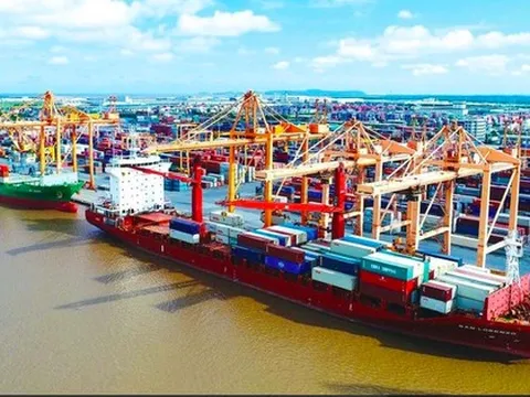 CEO hãng vận tải biển lớn nhất Việt Nam nói về mục tiêu doanh thu