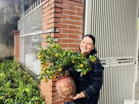 Nghệ An: Ngắm quất thần tài, bưởi "siêu quả",...xuống phố đón Tết sớm