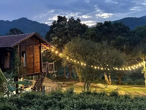 Đang làm chủ ở thành phố, đôi vợ chồng bất ngờ dọn lên núi làm nhà sàn, sống tự cung tự cấp