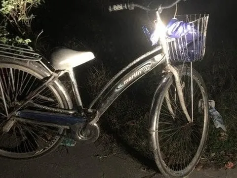 Tìm thấy thi thể bé trai 10 tuổi mất tích khi đi xe đạp