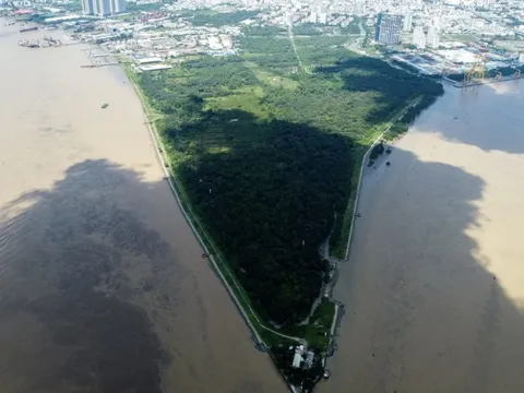 1 nữ Phó TGĐ của chủ đầu tư siêu dự án 6 tỷ USD thành lập và quản lý hàng trăm công ty "ma", giúp bà Trương Mỹ Lan rút ruột gần 300.000 tỷ tại SCB