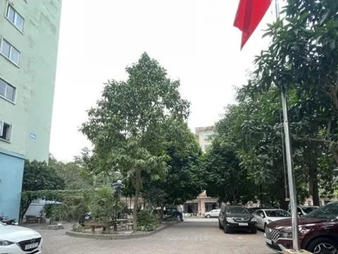 Hà Nội: Người đàn ông bị hai tên cướp áp sát giật iPhone 15 Promax ngay bốt bảo vệ chung cư