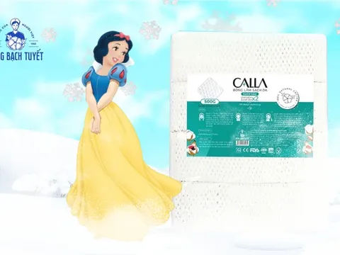 Bông Bạch Tuyết: Hành trình từ bờ vực phá sản đến cuộc chấn hưng ngoạn mục sau "cơn bão" kiện tụng và huỷ niêm yết