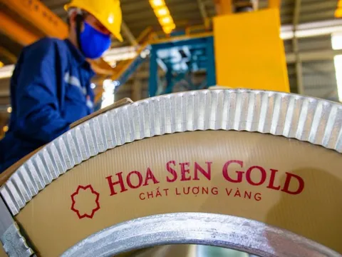 Hoa Sen (HSG) lên kế hoạch IPO một công ty con