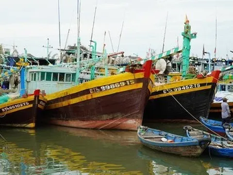 Một tàu cá Bình Thuận bị tàu vận tải đâm chìm, 5 ngư dân được cứu vớt