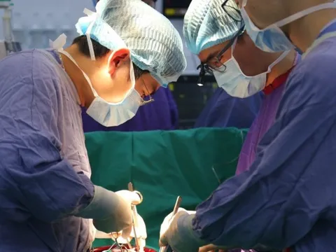 8 cuộc đời được hồi sinh nhờ 2 ca chết não hiến đa tạng